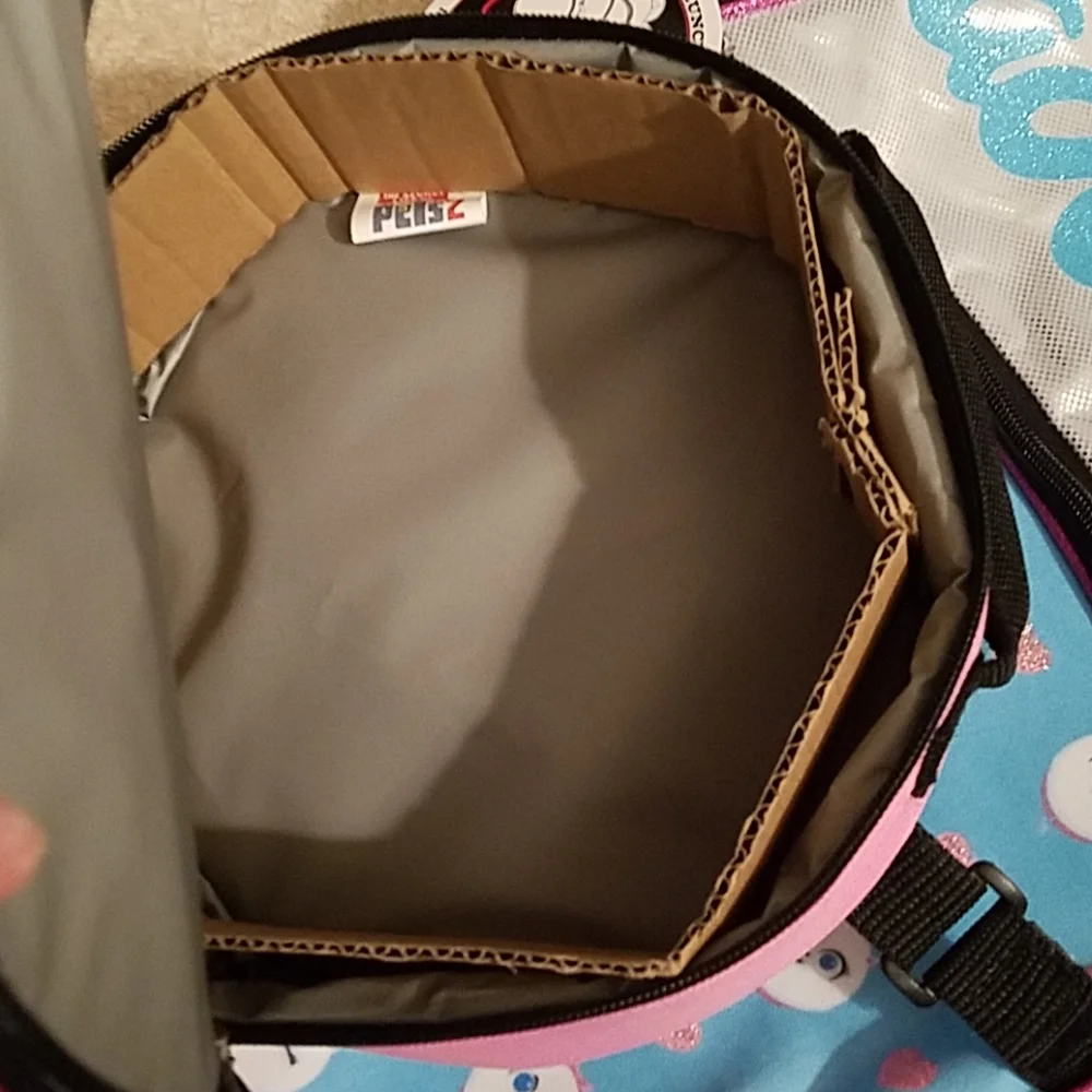 3 for $30. Backpack w/ lunch bag- secret life of pets 2